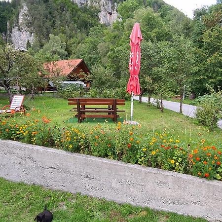 Apartma Vidic ゴズ・マルチュリェク エクステリア 写真